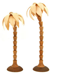 Bild vom Artikel 2 Palmen 16 cm und 18 cm (natur)